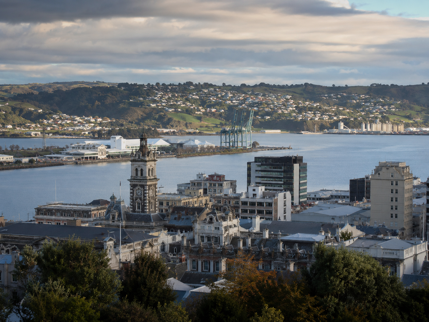 Abstract Dunedin city and Otago landscape for local destination planning